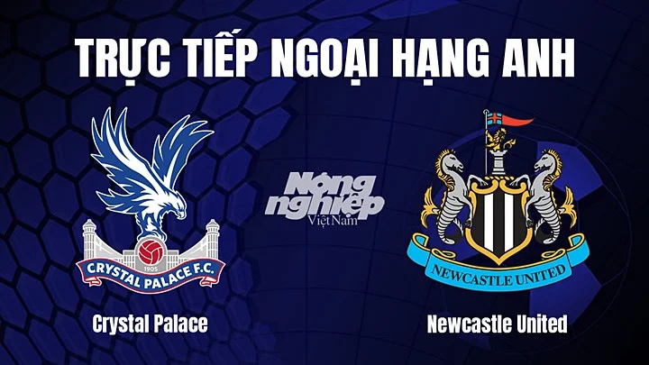 Crystal Palace và Newcastle United